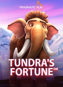 โปรแกรม spin: สูตรเพิ่มโอกาสชนะในเกมสล็อต